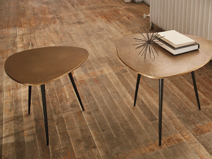 Shemleigh Accent Table (Set of 2)