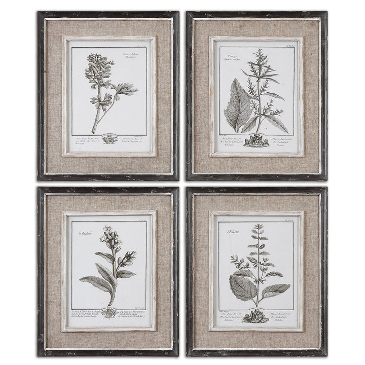 Casual Grey Study Framed Prints, S/4