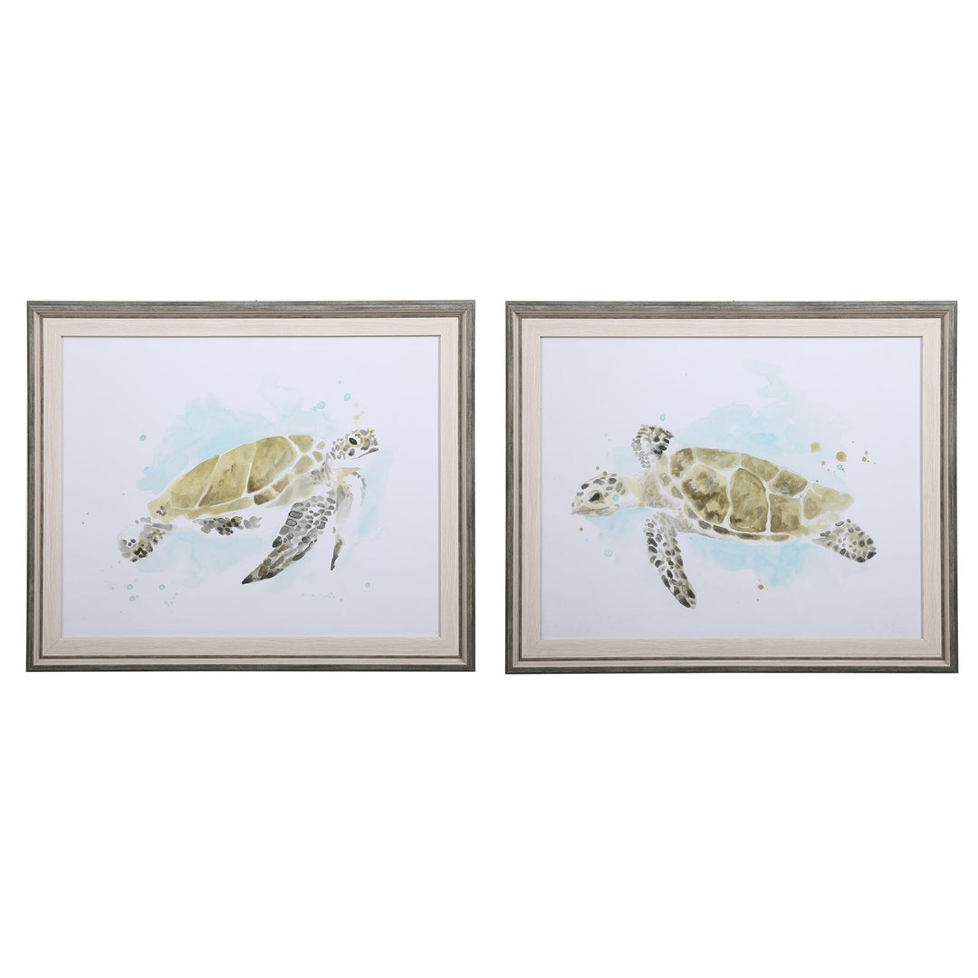 Sea Turtle Study Framed Prints, S/2