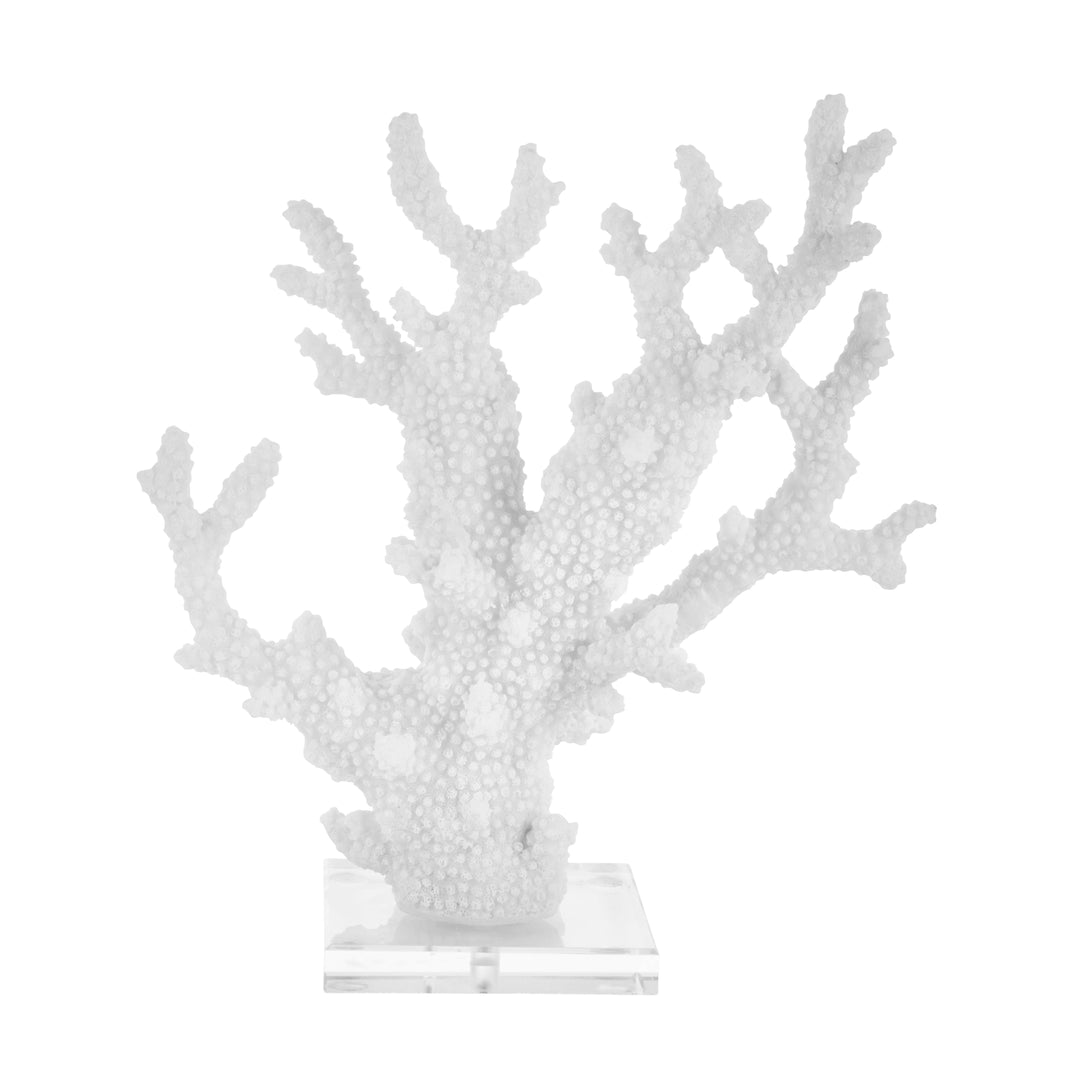 White Coral On Acrylic Base