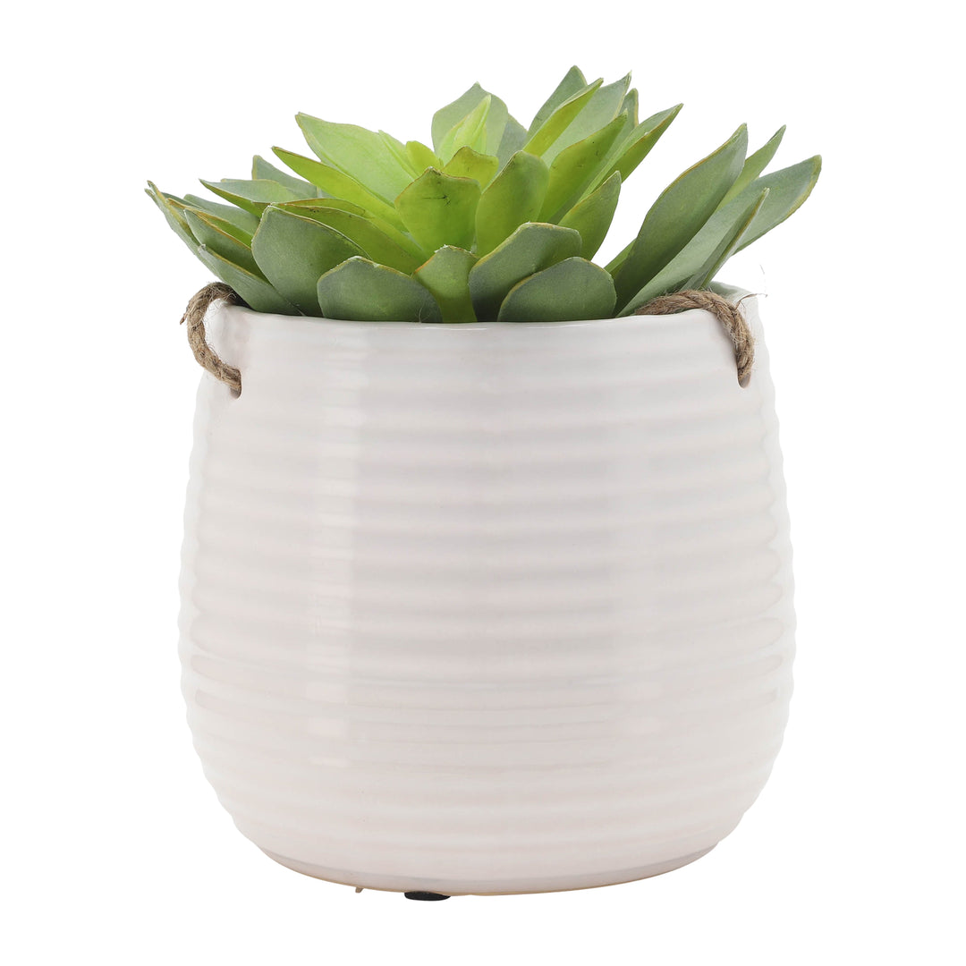 6" Hanging Planter,White