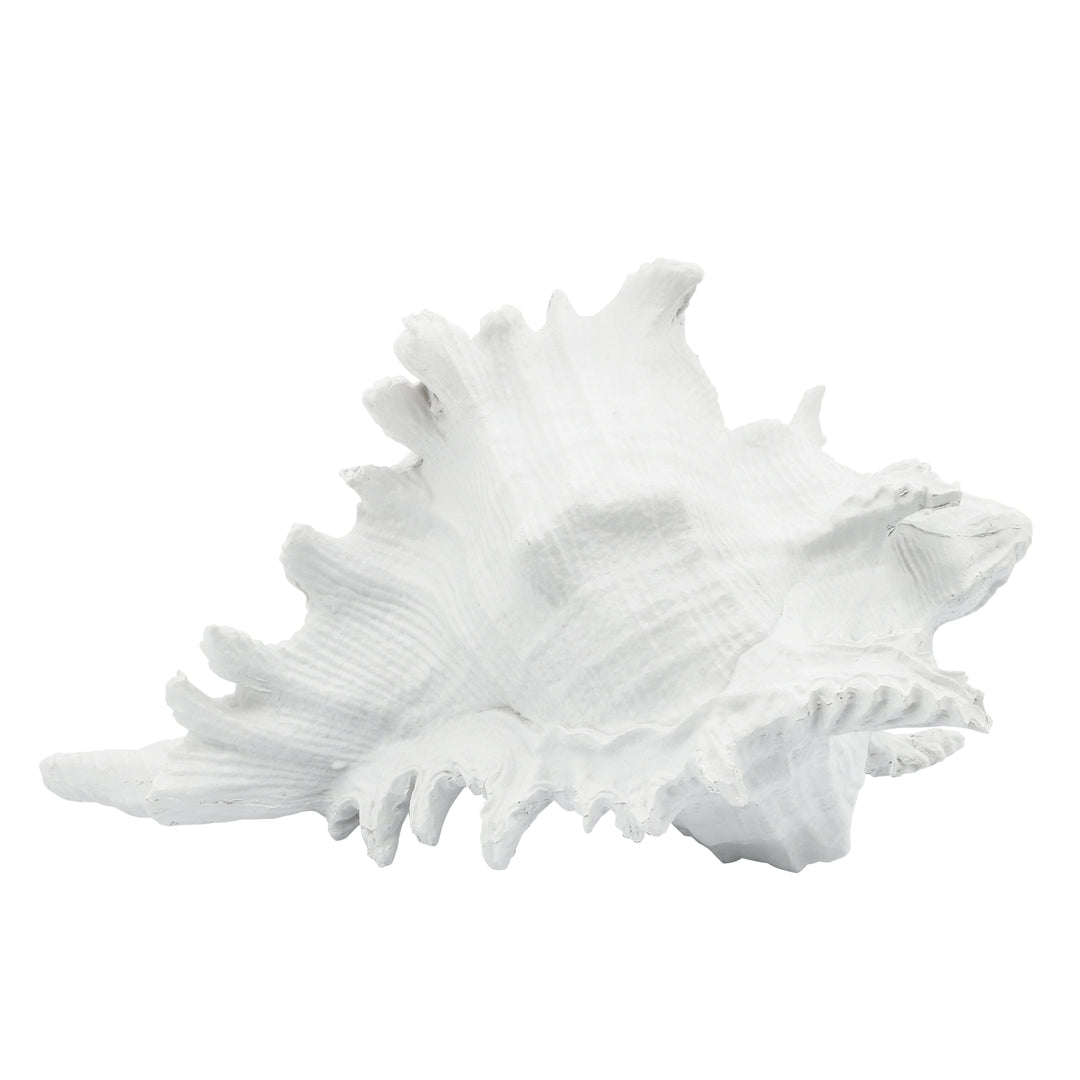 POLYRESIN 7" CONCH SHELL DECOR, WHITE