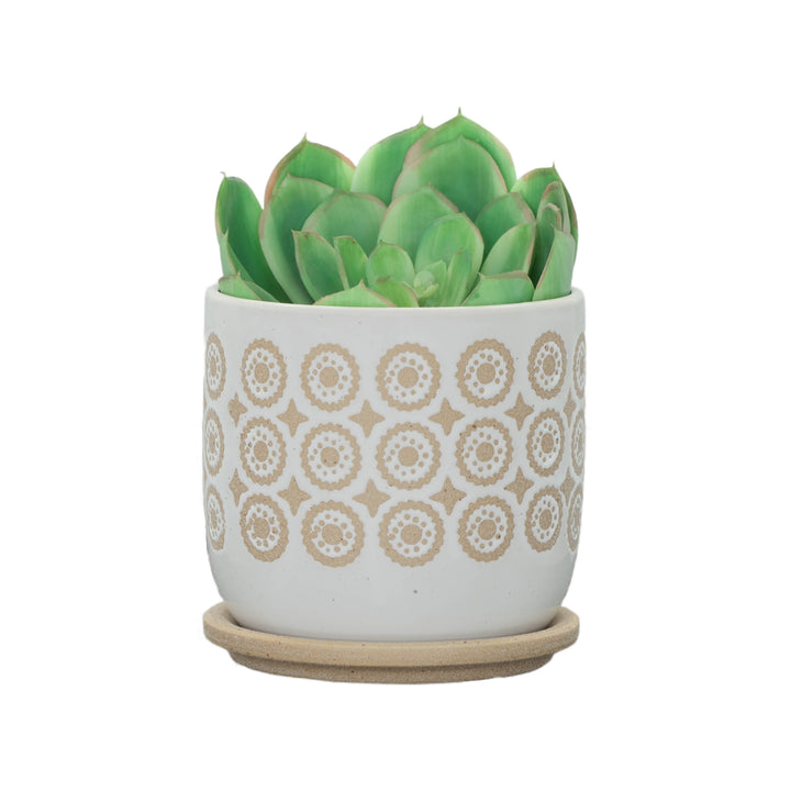 6" CIRCLES PLANTER W/ SAUCER, BEIGE