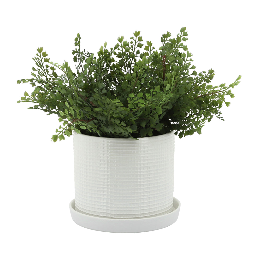 S/2 10/12" SCALY PLANTER W/ SAUCER, WHITE