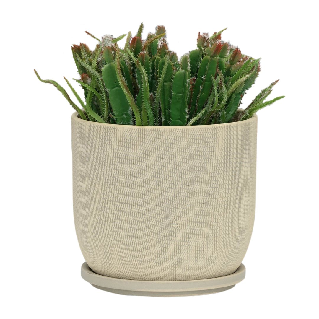 8" Mesh Planter W/ Saucer,  Sage