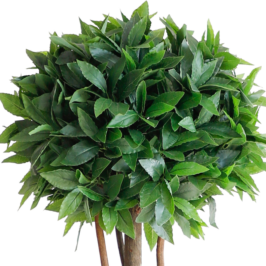 Laurel tree double ball topiary