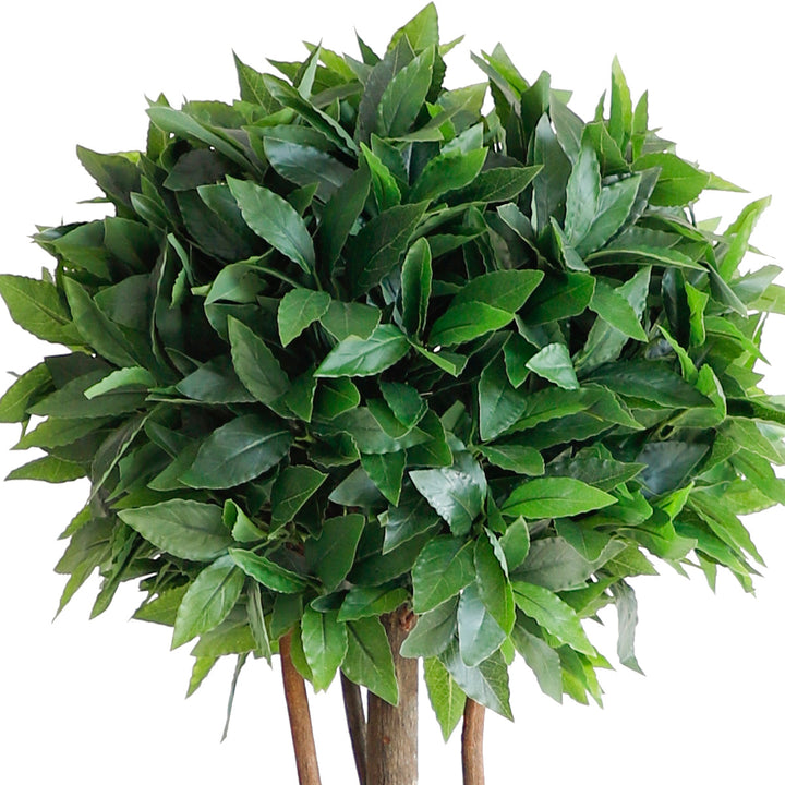 Laurel tree double ball topiary