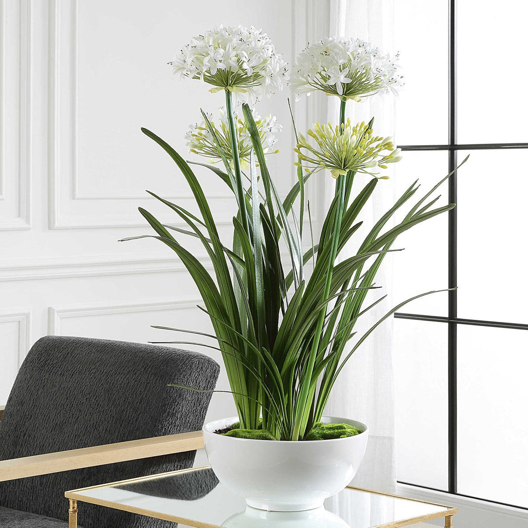 Purity Agapanthus Centerpiece