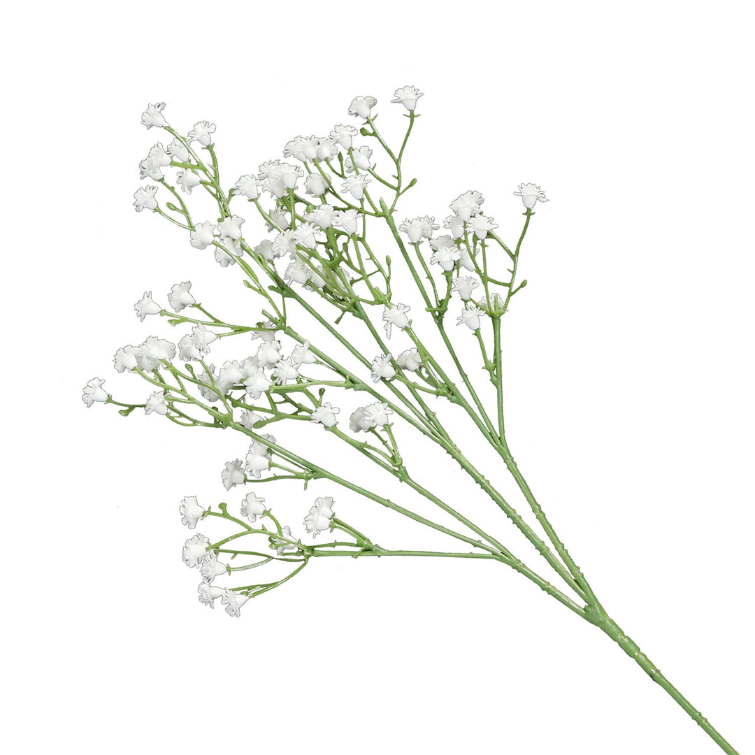 Baby's Breath White