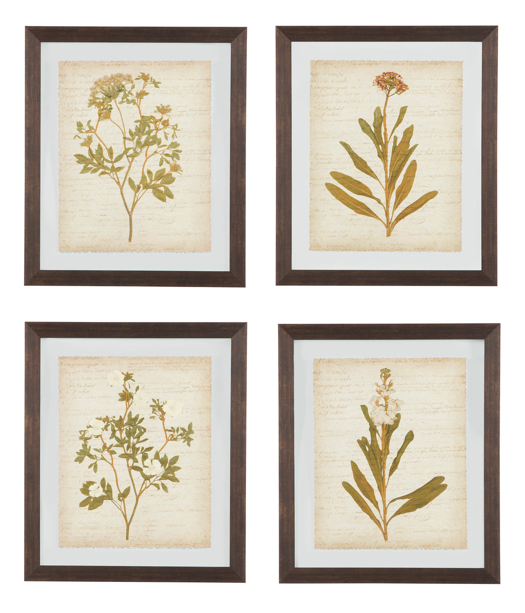 WALL ART SET (Set of 4)