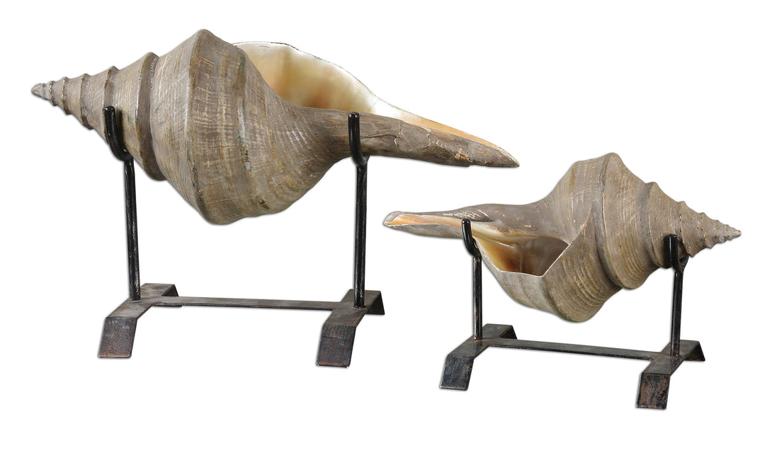 Conch Shell Sculpture, S/2