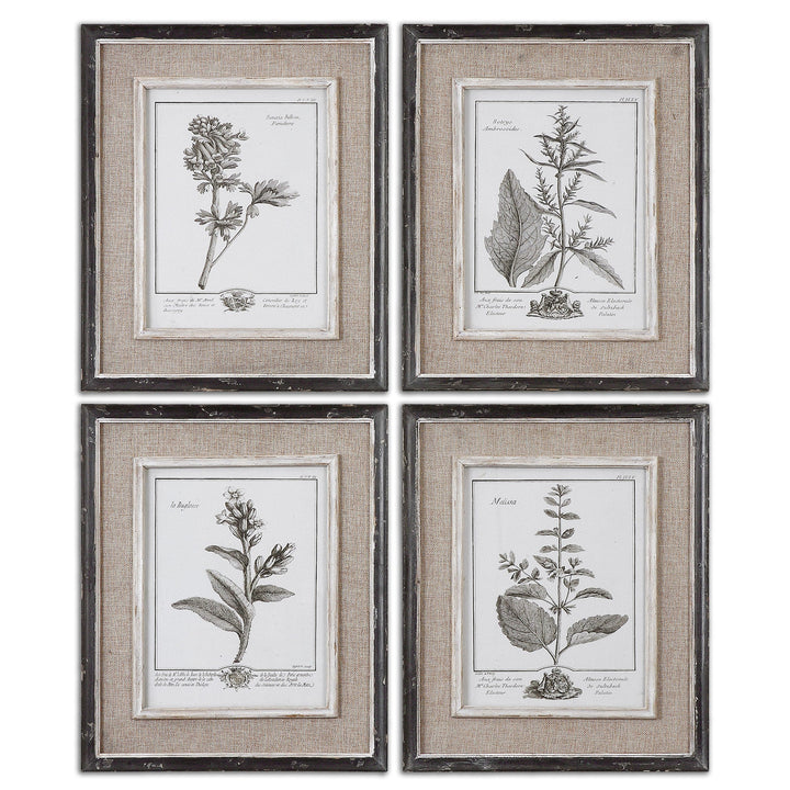 Casual Grey Study Framed Prints, S/4