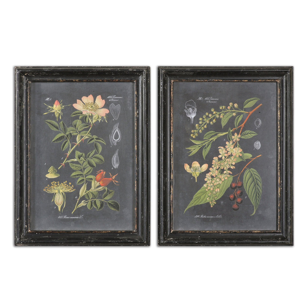 Midnight Botanicals Framed Prints, S/2