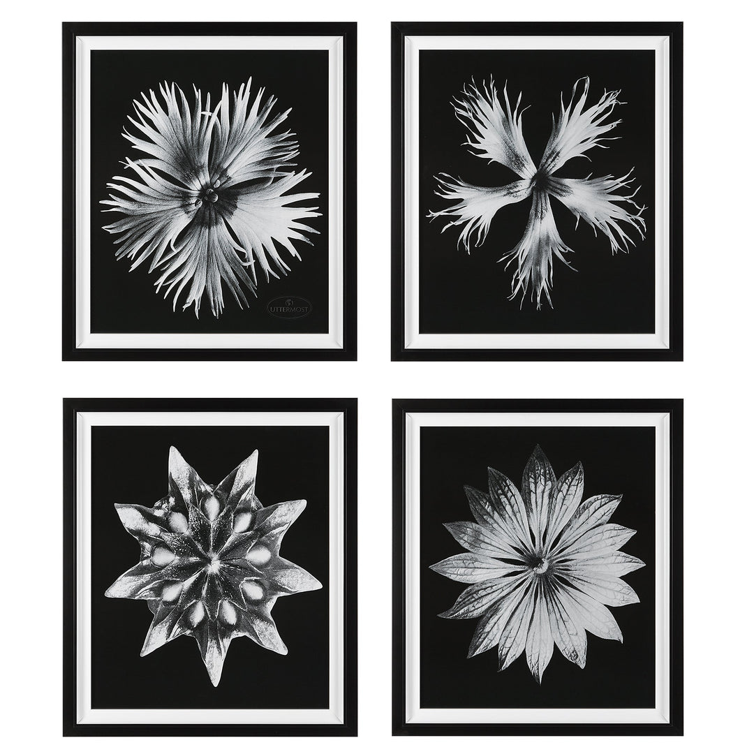 Contemporary Floret Framed Prints, S/4