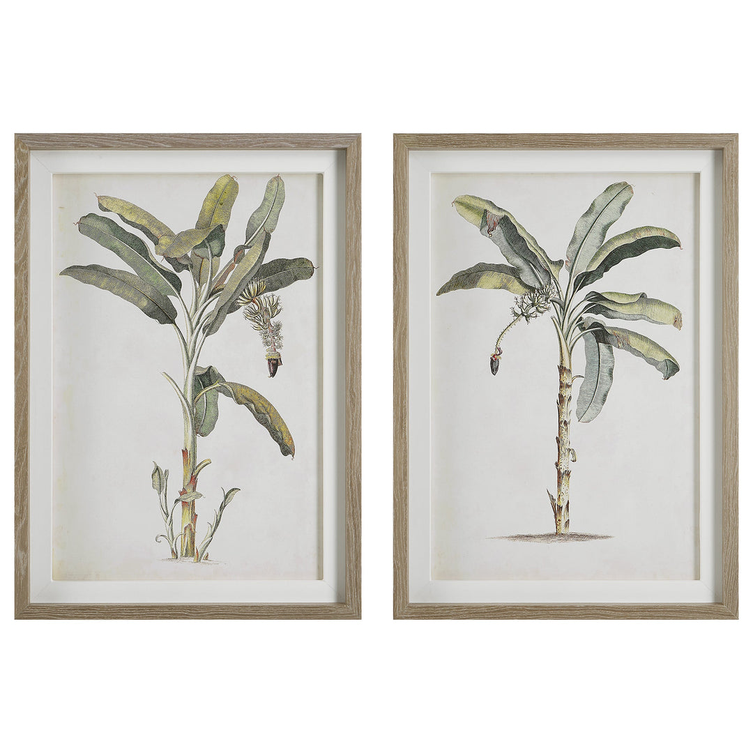 Banana Palm Framed Prints, S/2