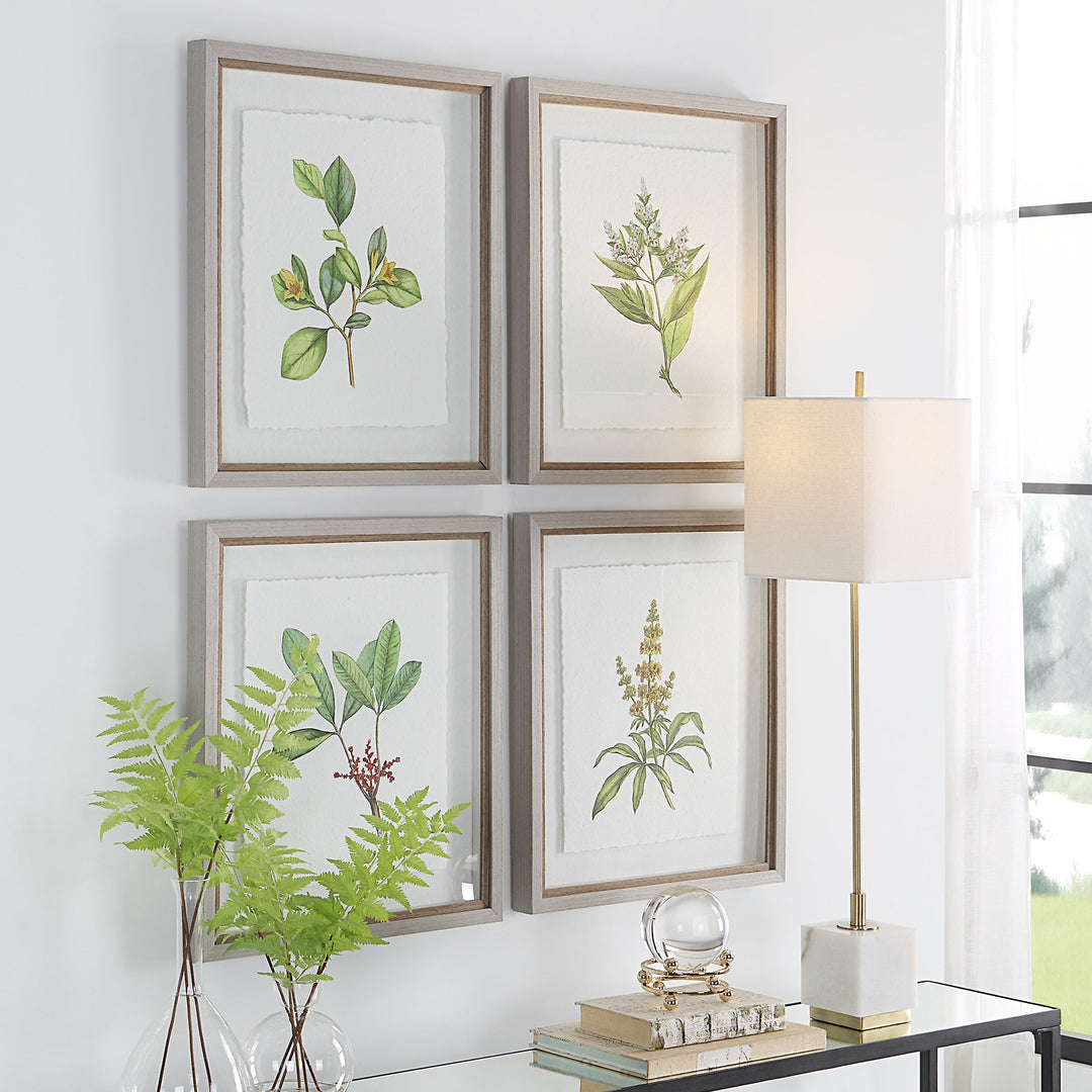 Wildflower Study Framed Prints, S/4