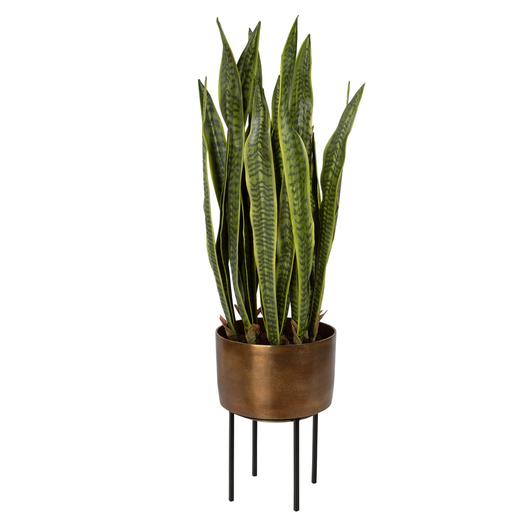 Fasita Planter, 2 Cartons