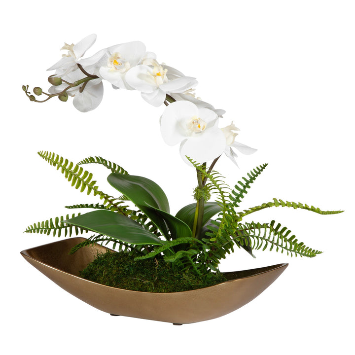 Transcend Orchid Centerpiece