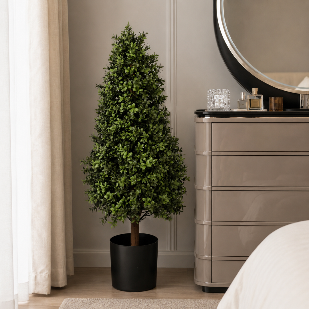 Buxus Tower Tree 90CM