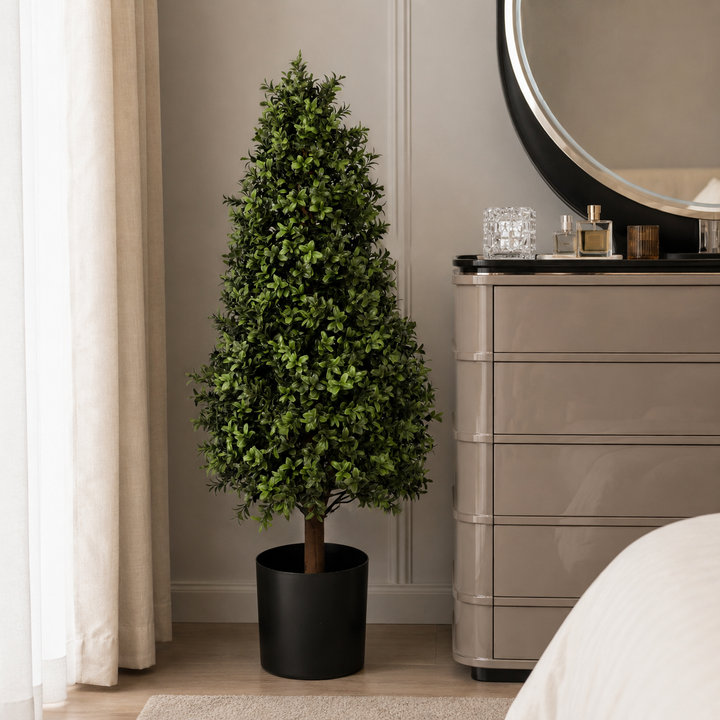 Buxus Tower Tree 90CM