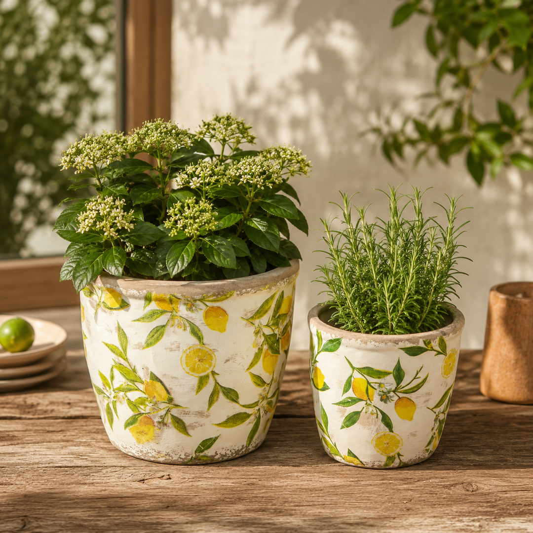 S/2 Lemon Pattern Planters