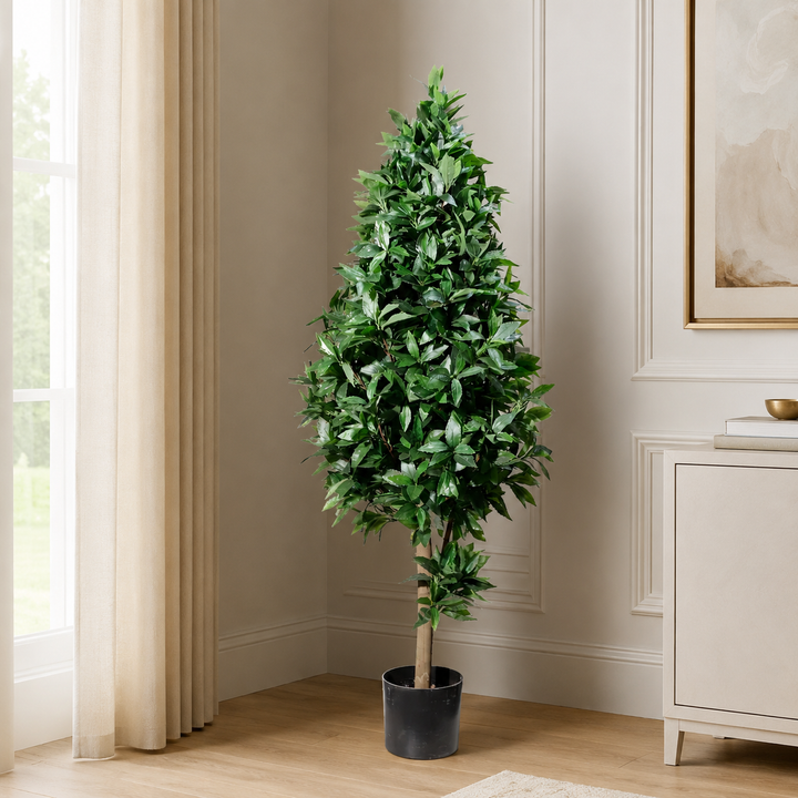 Laurel tree topiary