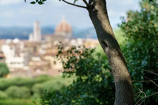 Giglio di Firenze