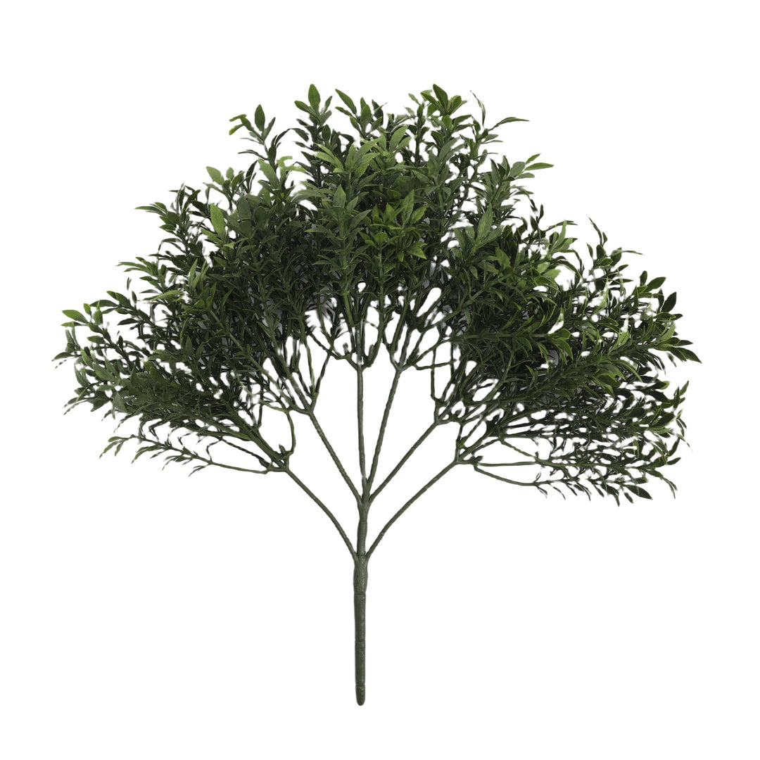 Tea Foliage Bush