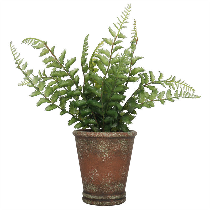 Fern 38CM