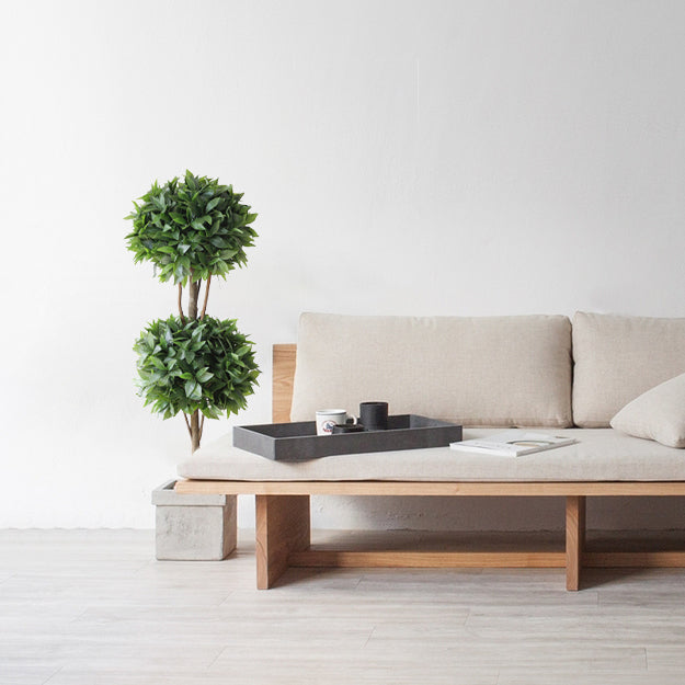 Laurel tree double ball topiary