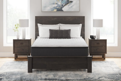 Anniversary Edition Firm Queen Mattress