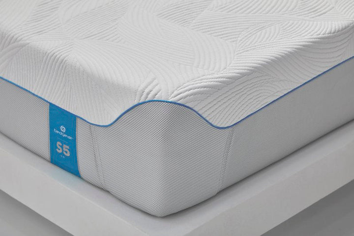 S5 LS Mattress - King (190 x 200 x 25 cm)