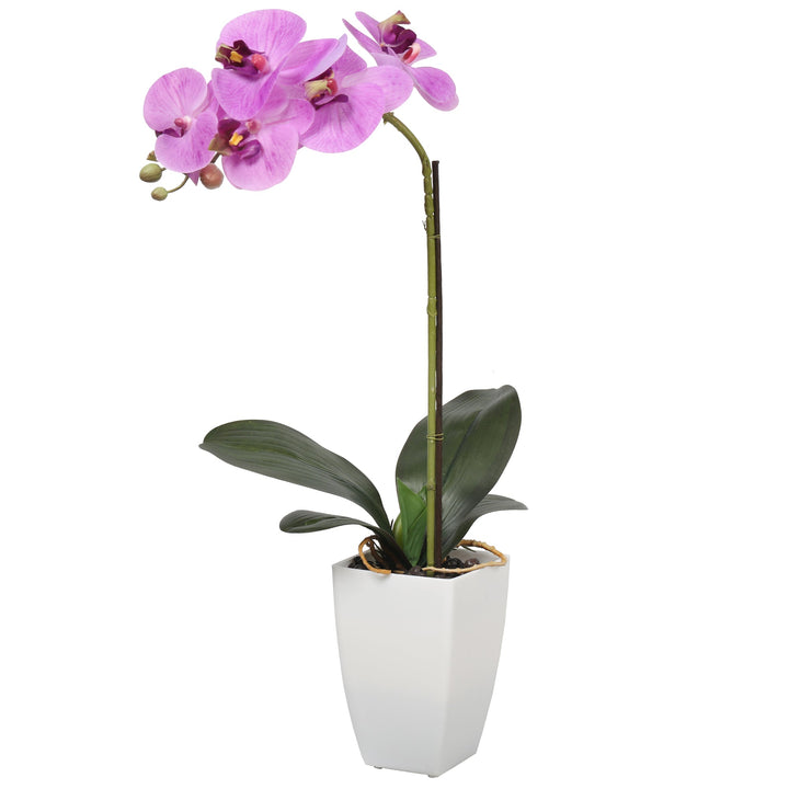 Potted Butterfly Orchid 52CM Height Red Color