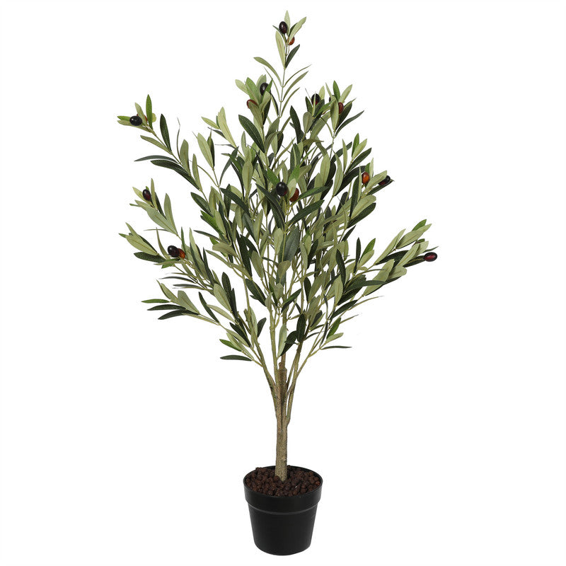 Premium Olive Tree 100CM