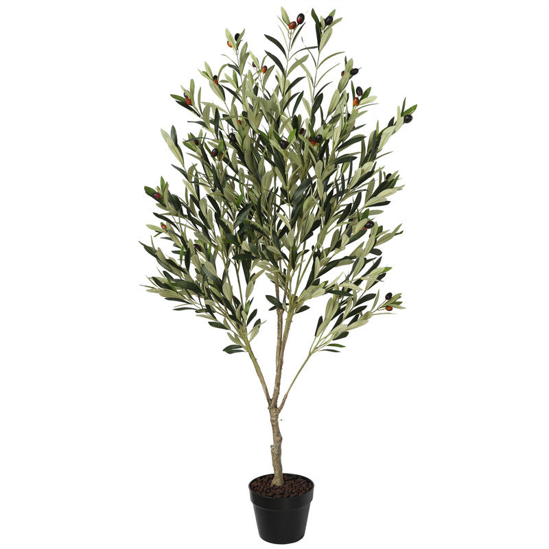 Premium Olive Tree 135CM