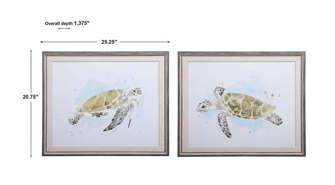 Sea Turtle Study Framed Prints, S/2