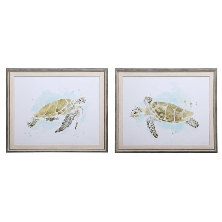 Sea Turtle Study Framed Prints, S/2