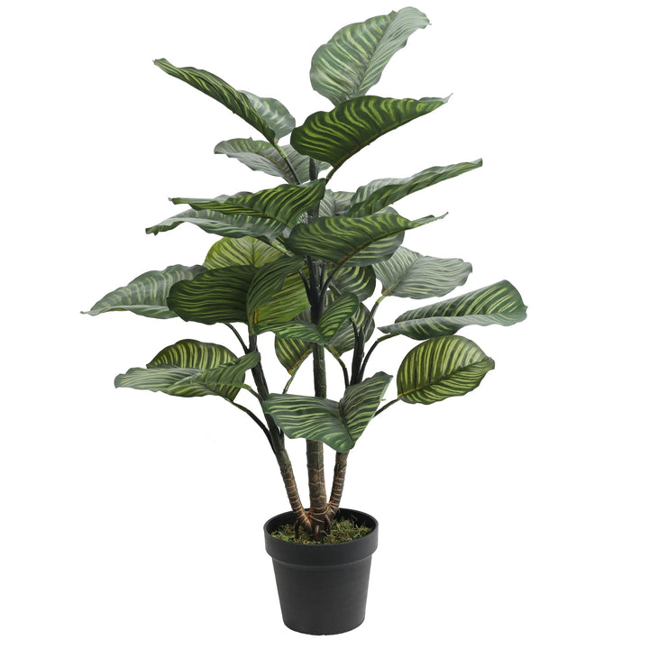 Artificial Calathea Rotundifolia 102CM Height