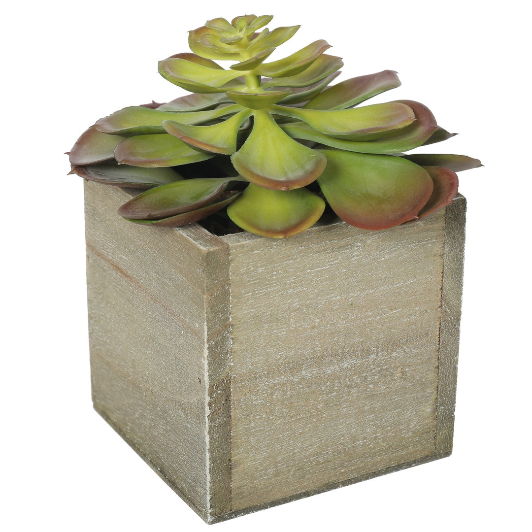 Artificial Potted Succulent Plants 16CM Indoor