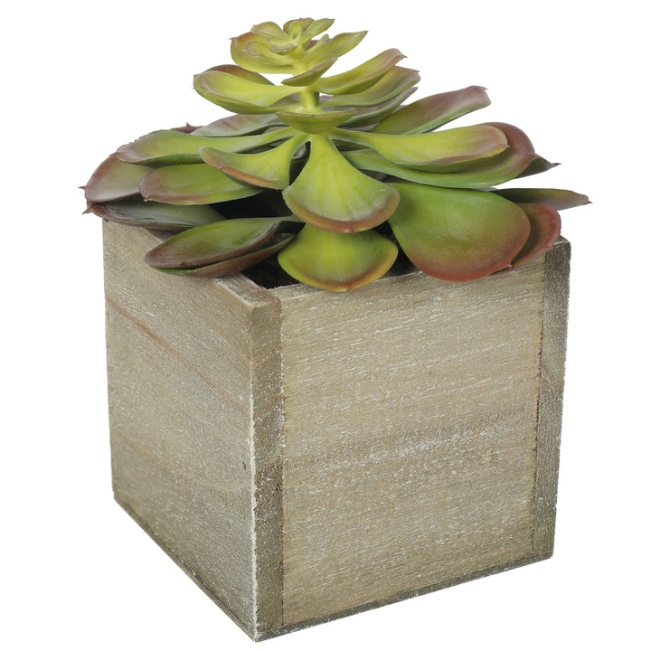 Artificial Potted Succulent Plants 16CM Indoor