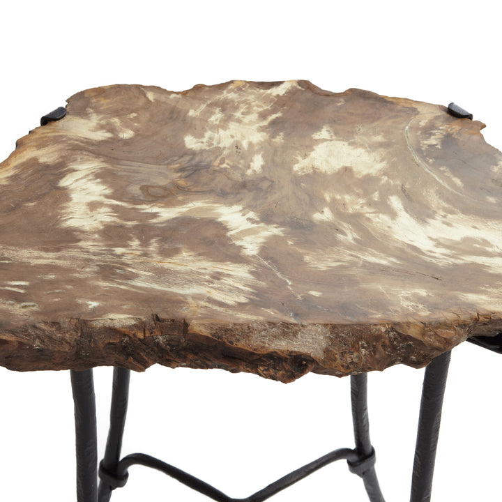 Petrified Side Table