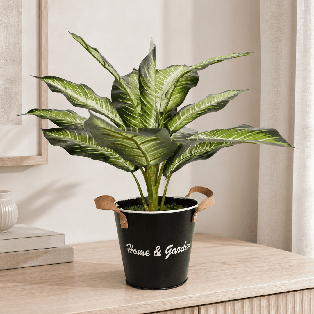 Evergreen White Green 39CM