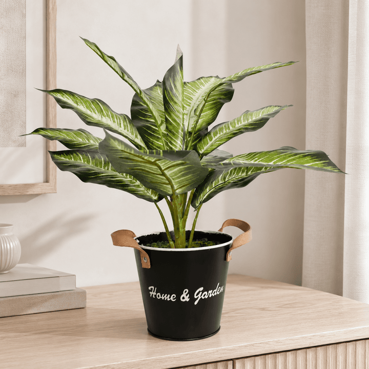 Evergreen White Green 39CM