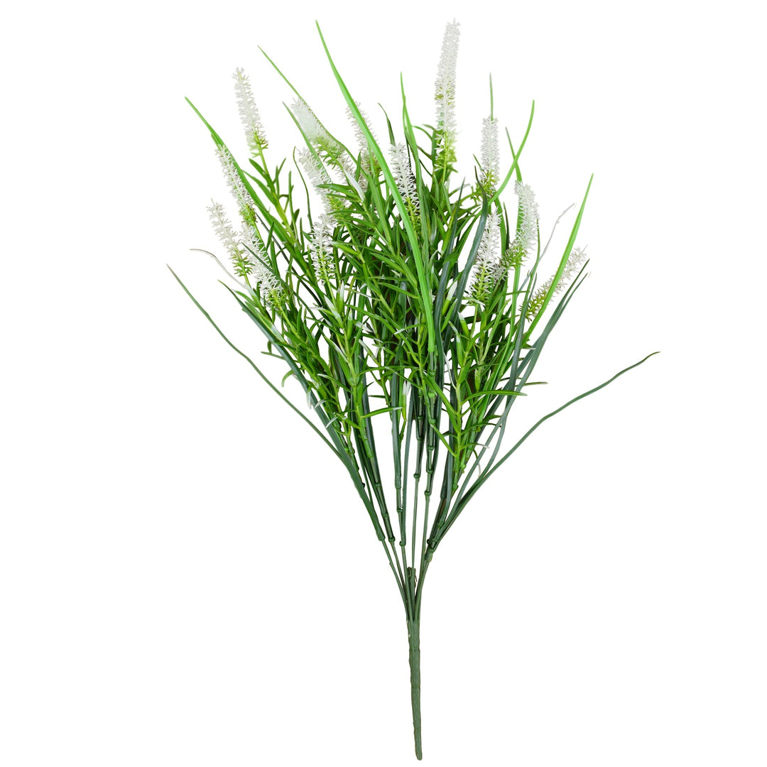 Long Stem White Lavender