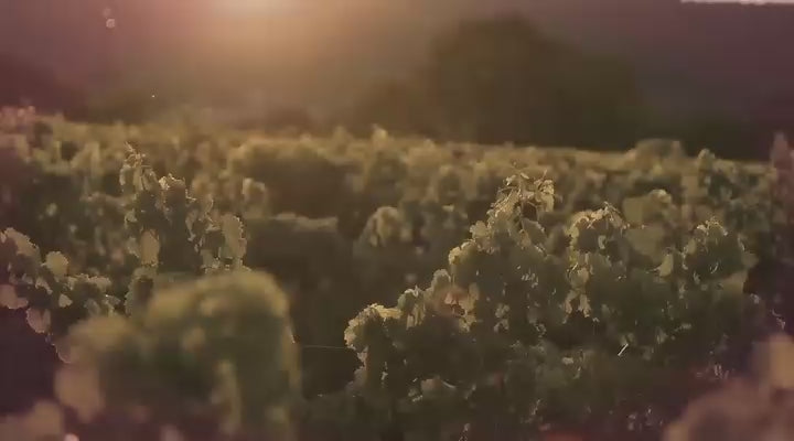 KLìNTO 1817 Diffuser 250ml