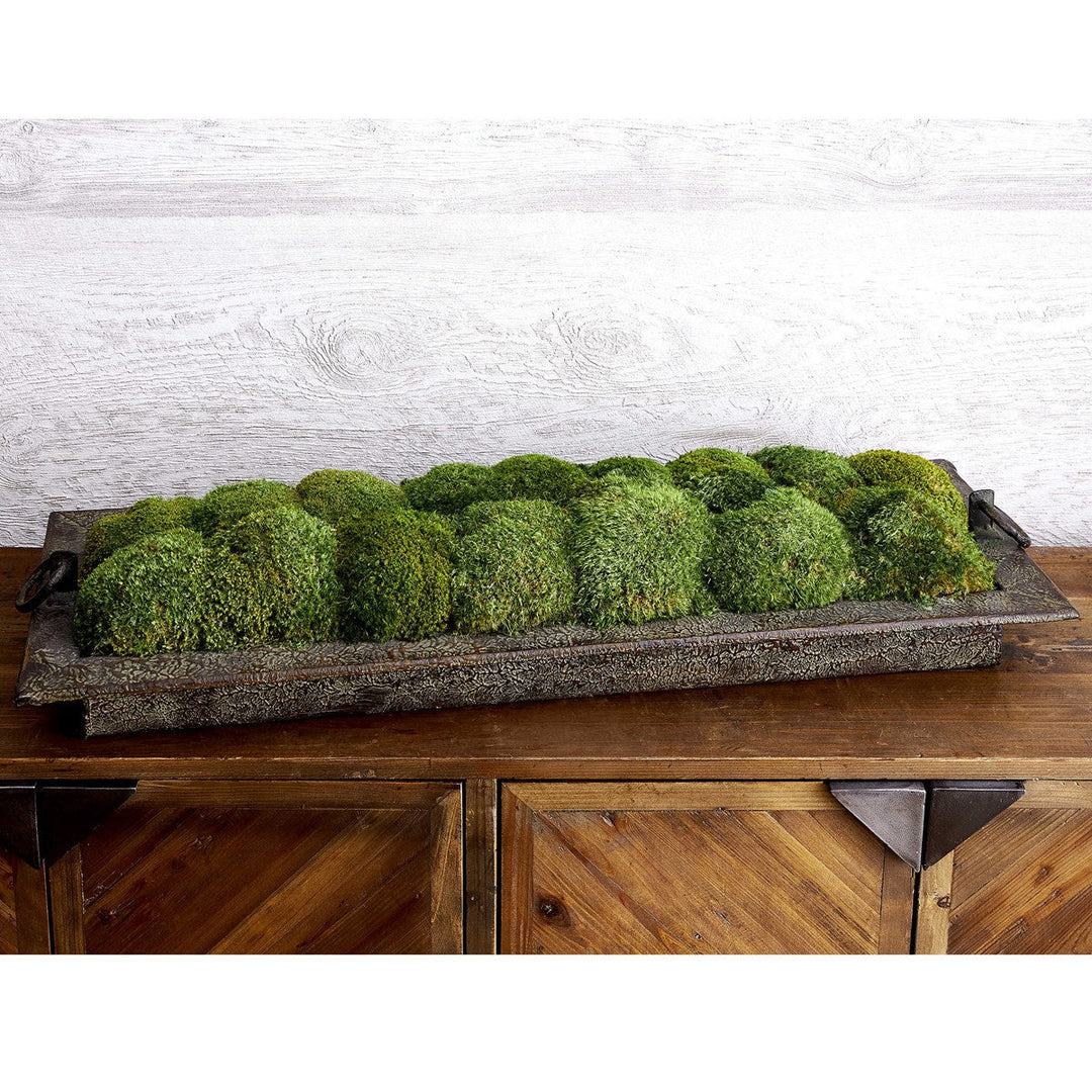 Heath, Preserved Moss Tray