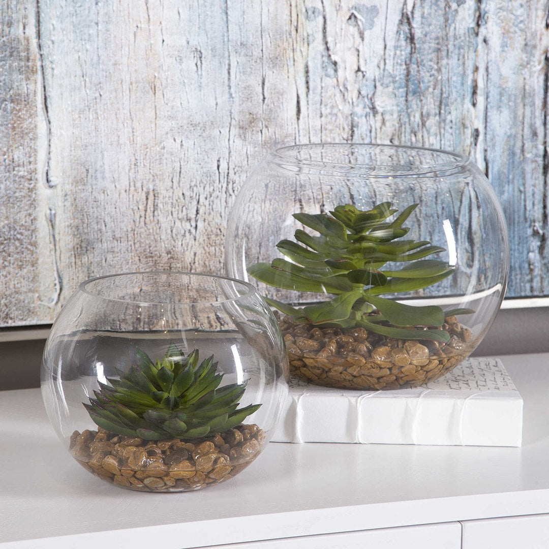 Eloy Terrariums, S/2