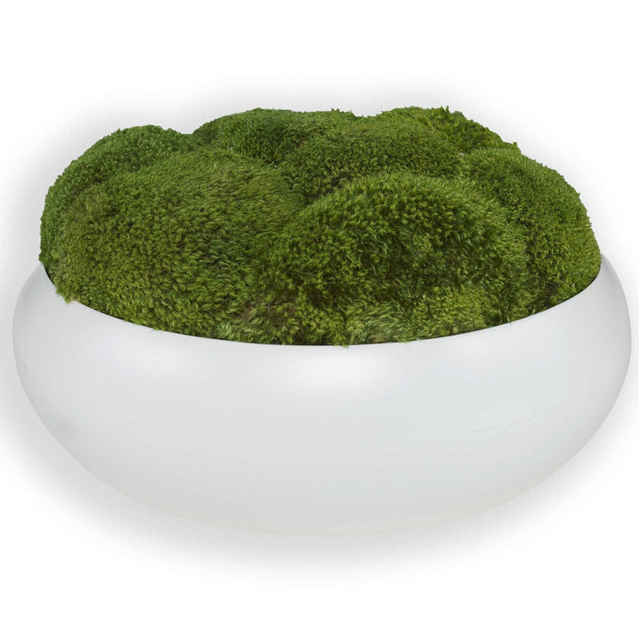 Gratia Moss Centerpiece