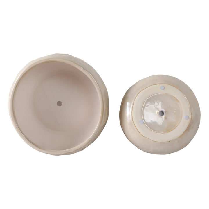 S/2 10/12" IRIDESCENT BOWL PLANTERS, WHITE