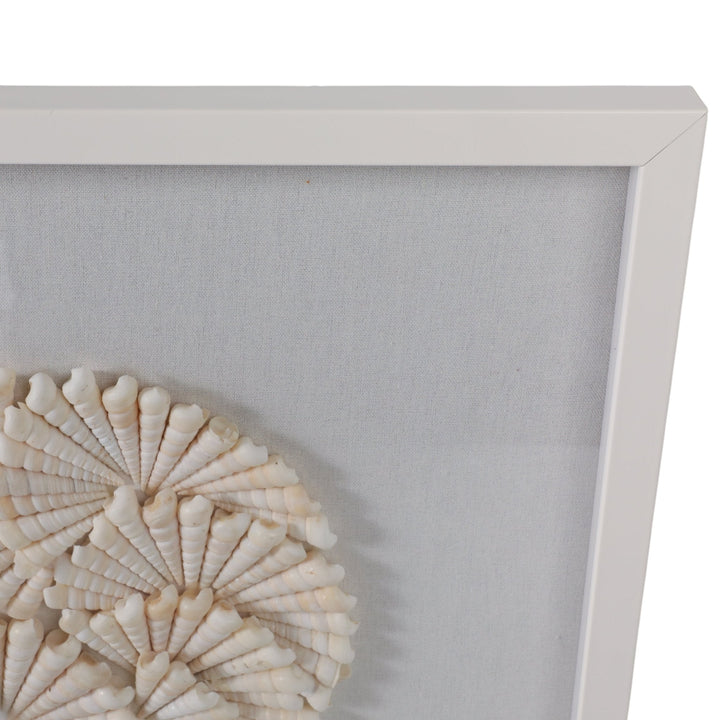 S/2 20x20 Atlantic Shell Shadowbox Art